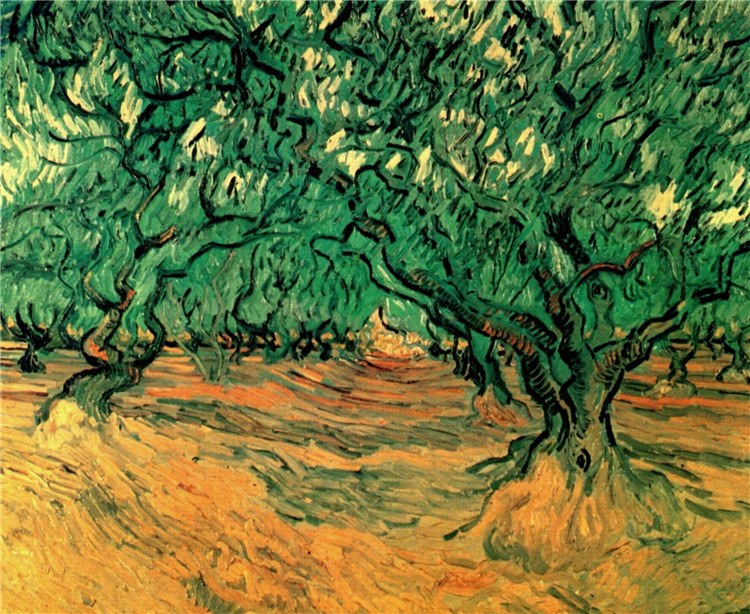 Olive Trees Vincent Willem Van Gogh Oil Painting